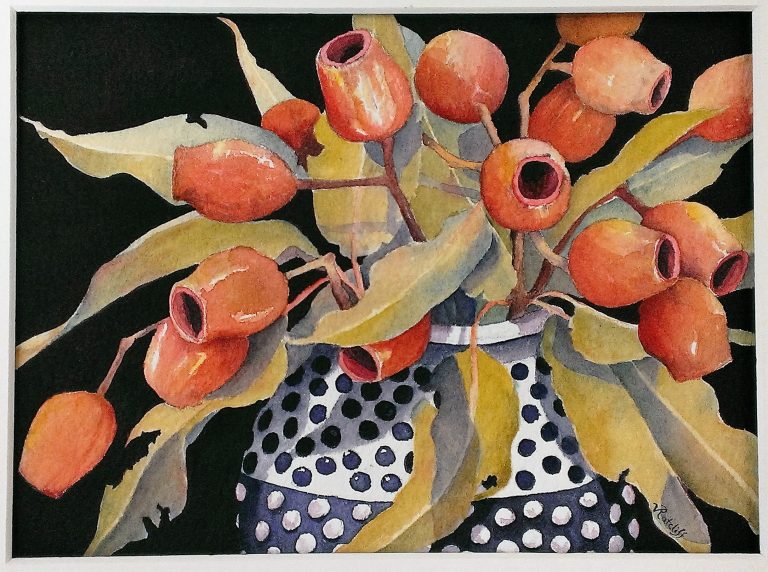 Watercolour - Gumnuts