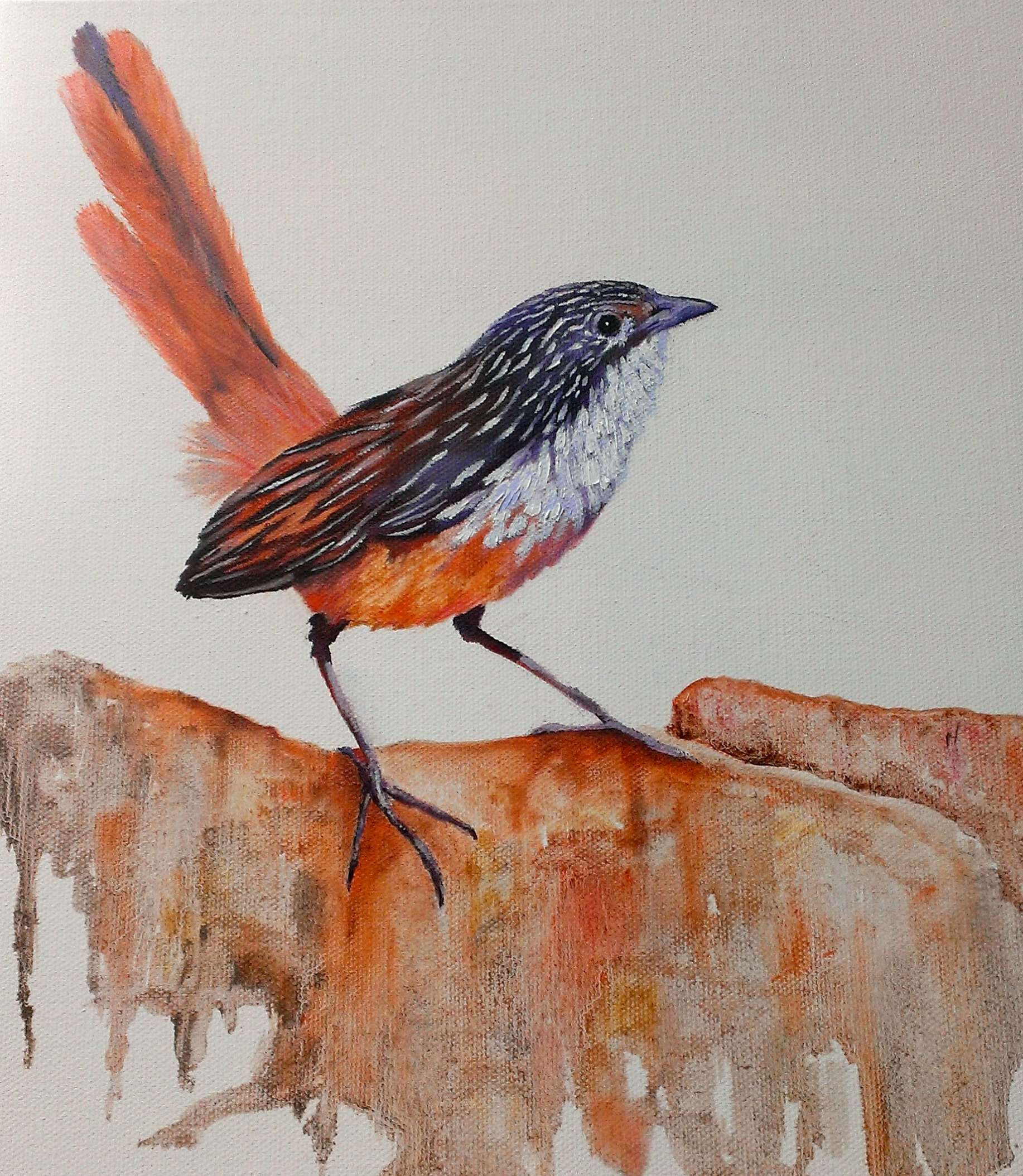 Oil "Carpie" VICKI RATCLIFF Artist